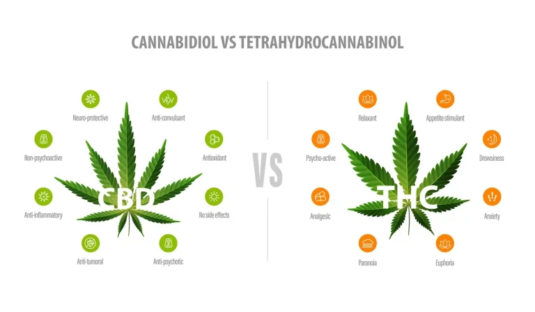 CBD vs THC: What’s the Difference and How They Work